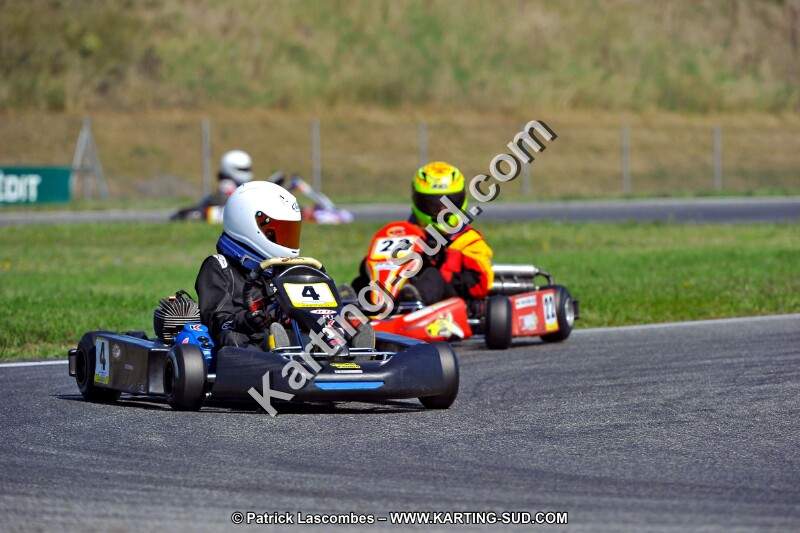 DSC_ (1319).jpg
